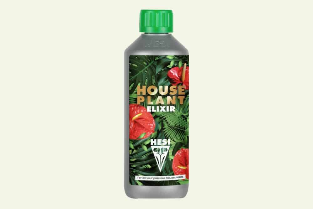 Houseplant Elixir