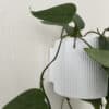 Nástěnný obal na květináč - Image 3