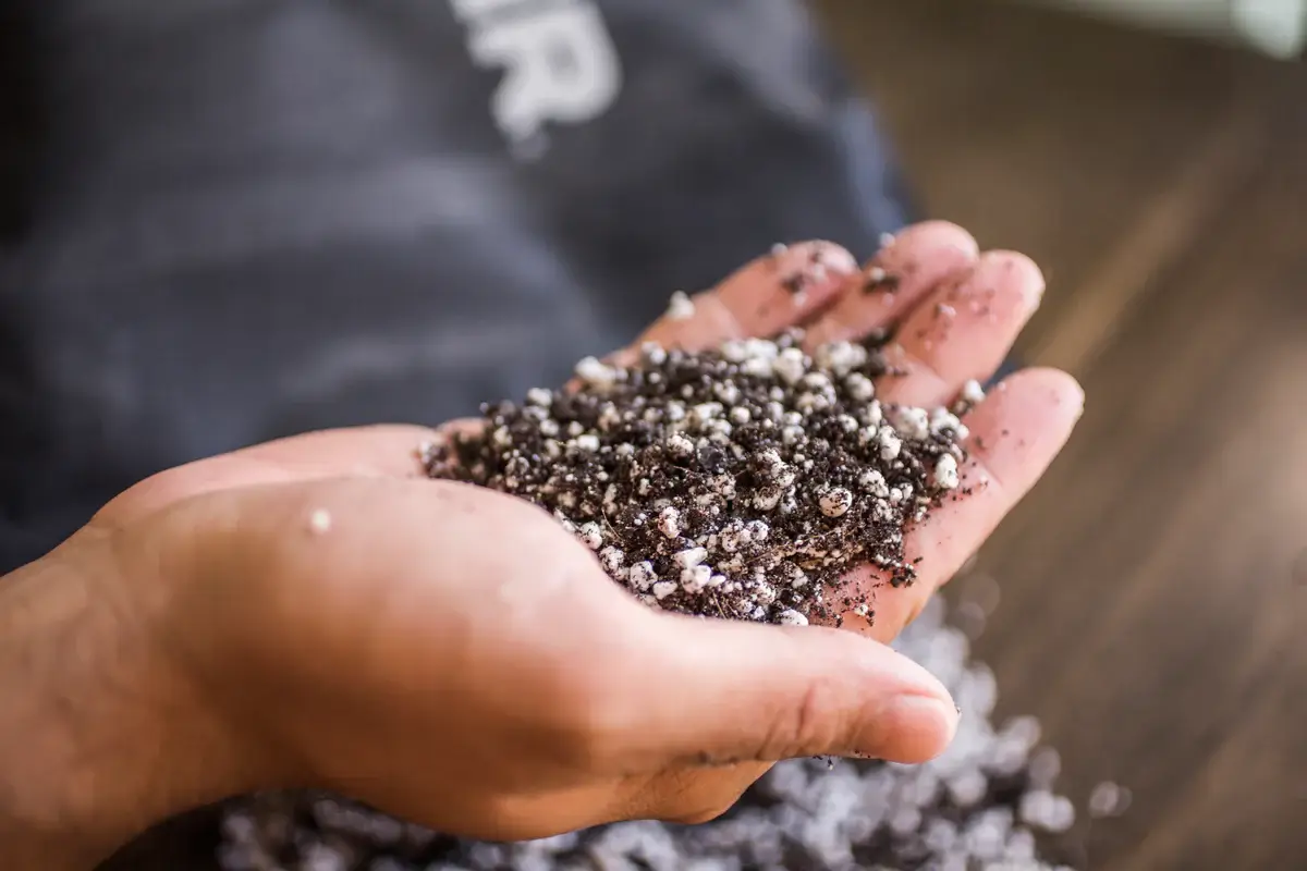 Jemný substrát pro výsev a množení – 8,5 l - Obrázek 2